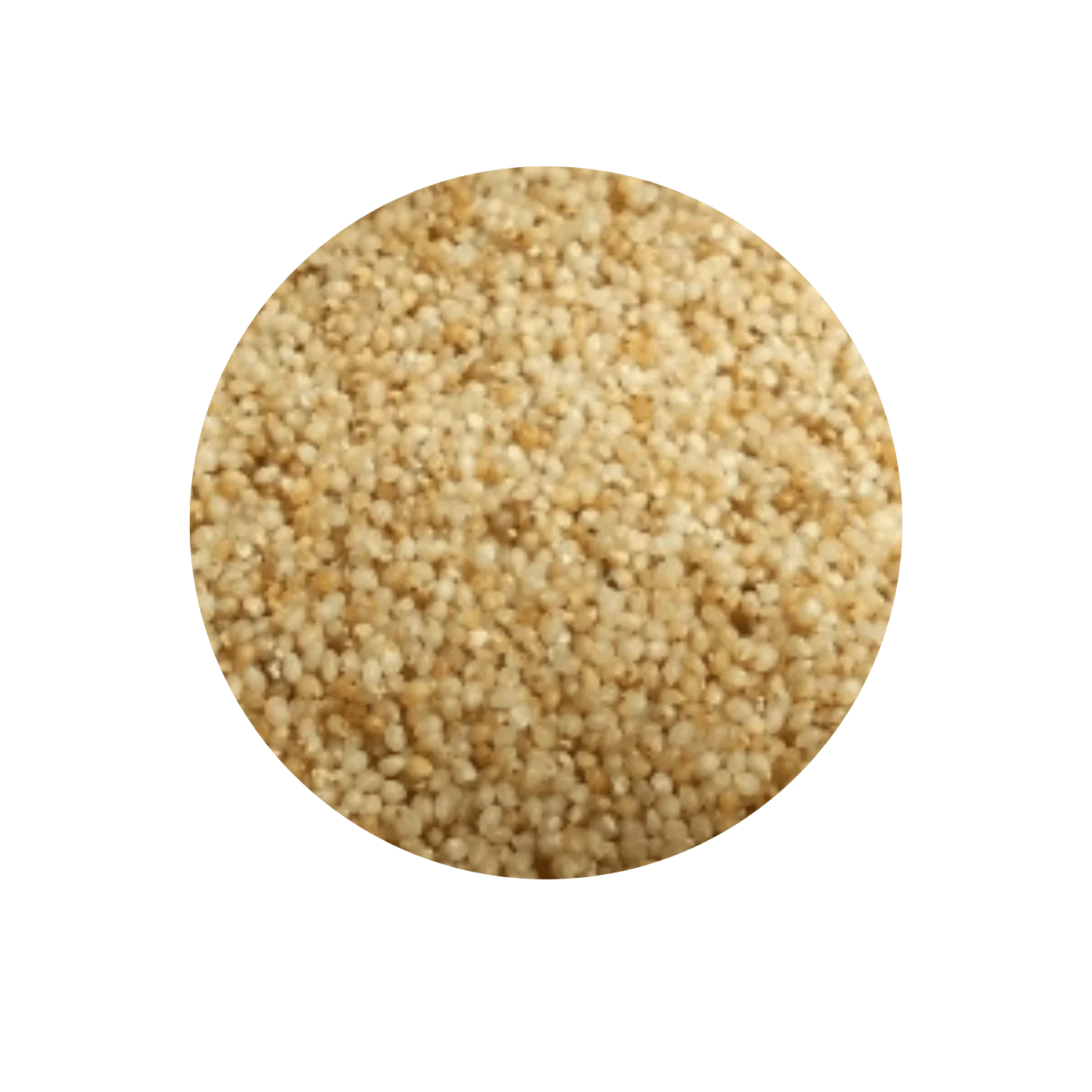 FINGER MILLET – RAGI