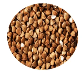BUCKWHEAT